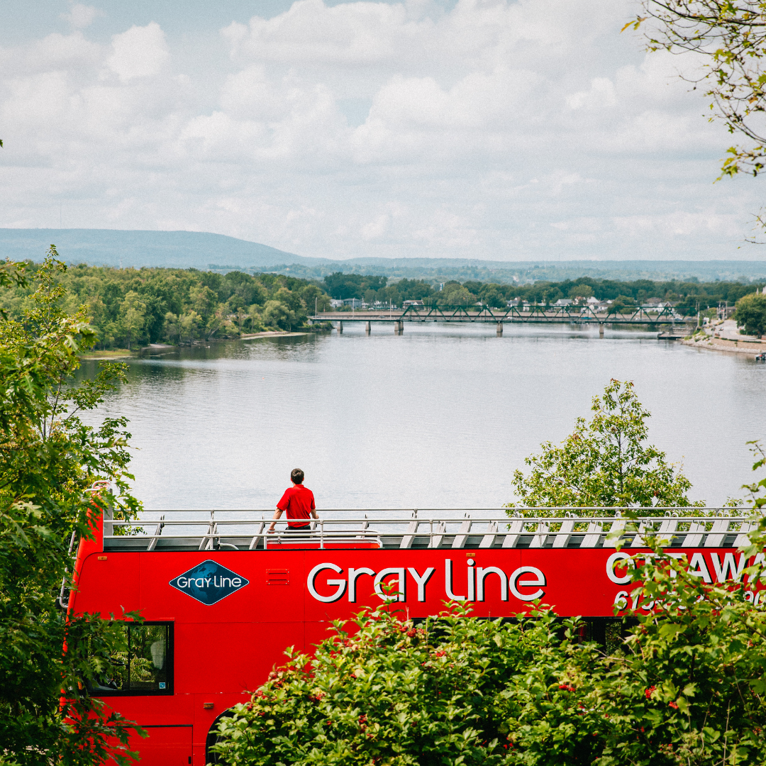 Two Day Pass: Hop On and Hop Off