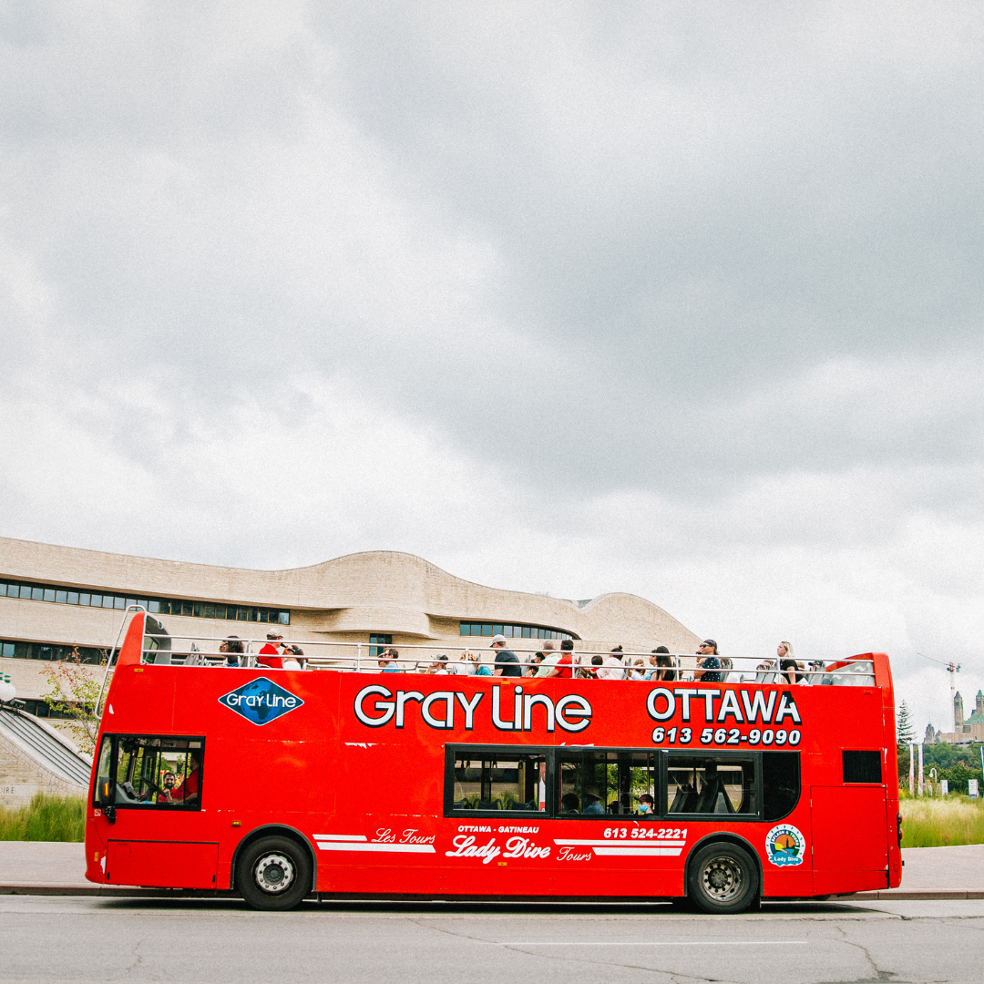 1-Day Hop-On Hop-Off Sightseeing Bus Tour