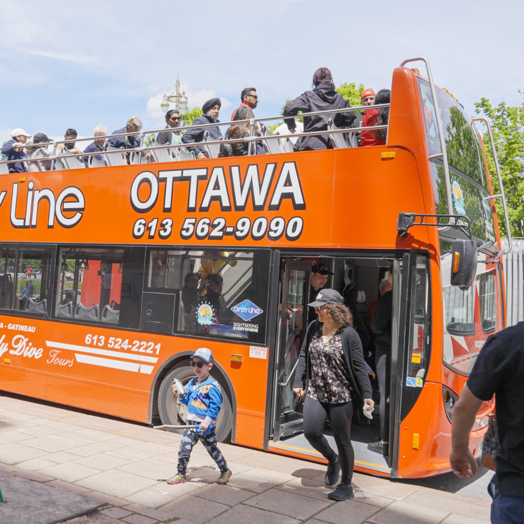 One Day Pass: Hop On and Hop Off