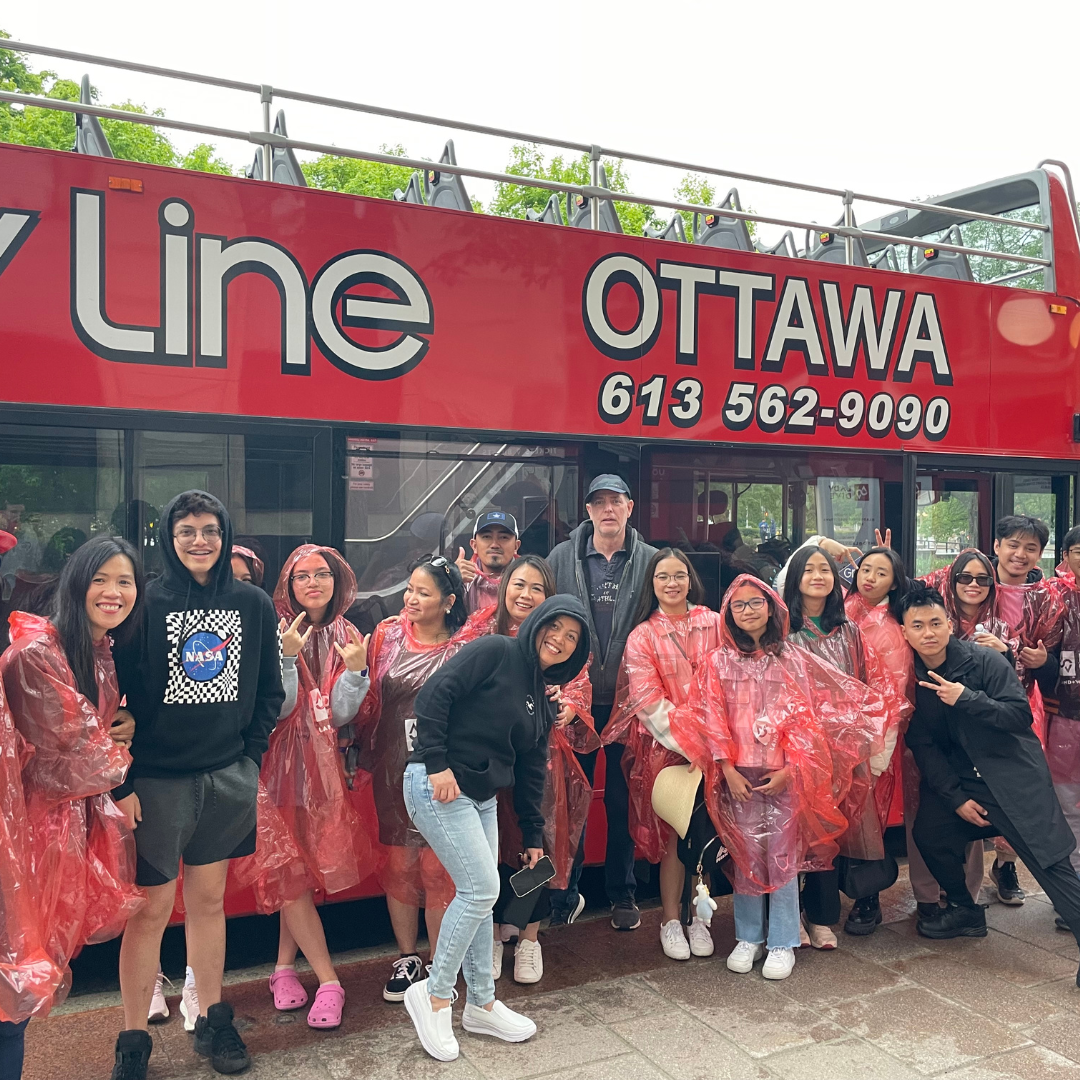 One Day Pass: Hop On and Hop Off