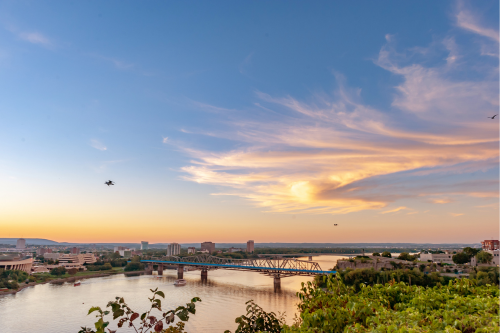 Father's Day Brunch Cruise boat Paula-D cruising on the river with a bridge in the background on a sunny day.